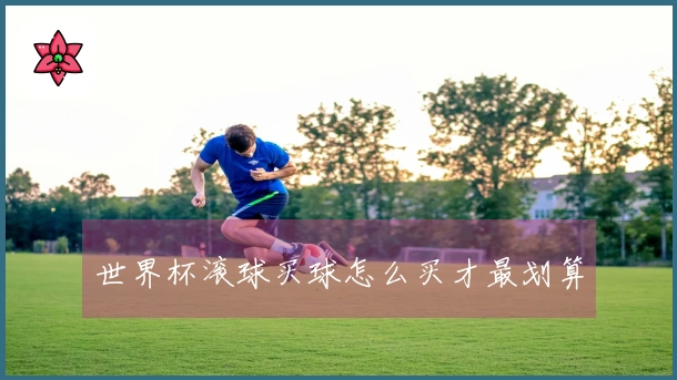 世界杯滚球买球怎么买才最划算