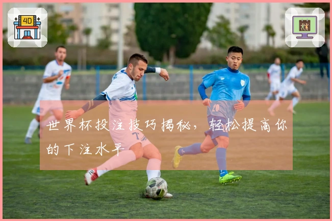 世界杯投注技巧揭秘，轻松提高你的下注水平