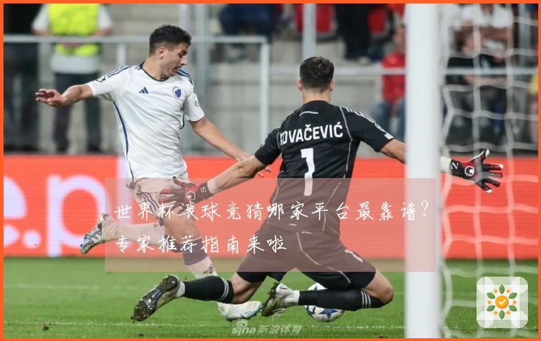 世界杯滚球竞猜哪家平台最靠谱？专家推荐指南来啦