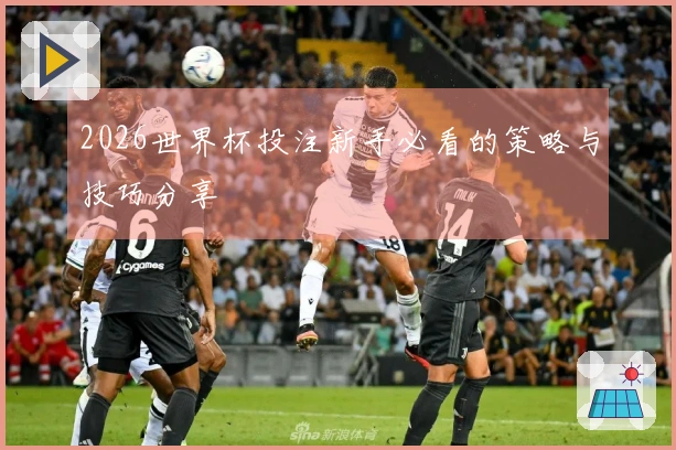 2026世界杯投注新手必看的策略与技巧分享
