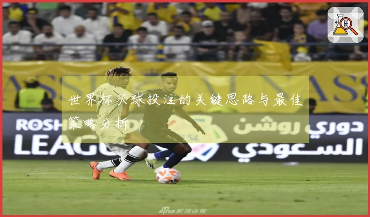 世界杯买球投注的关键思路与最佳策略分析