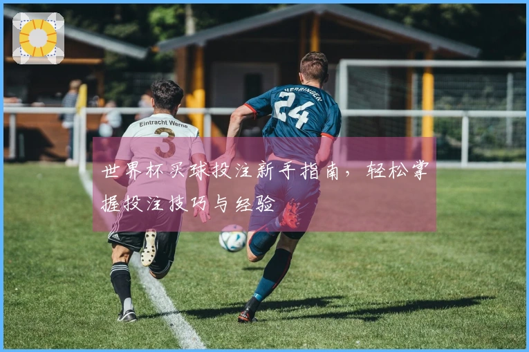 世界杯买球投注新手指南，轻松掌握投注技巧与经验