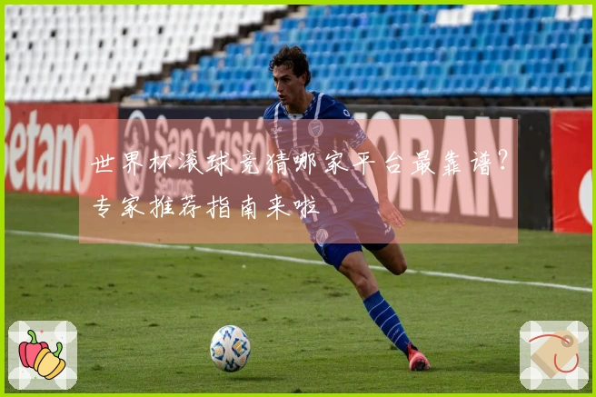 世界杯滚球竞猜哪家平台最靠谱？专家推荐指南来啦