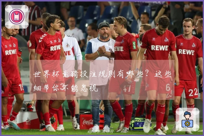 世界杯竞猜投注规则有哪些？这些细节你不能忽视