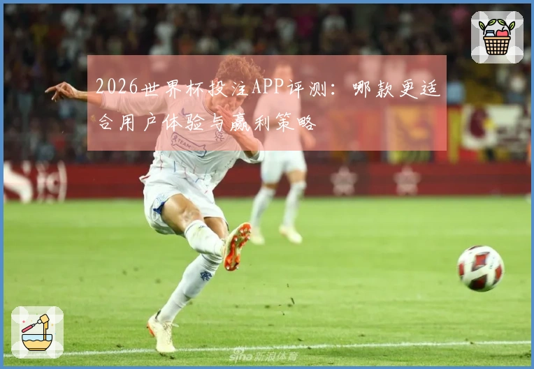 2026世界杯投注APP评测：哪款更适合用户体验与赢利策略