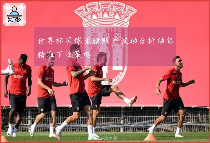 世界杯买球竞猜赔率波动分析助你精准下注策略